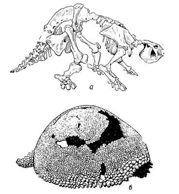 Большая Советская Энциклопедия (ГЛ) - i009-001-235679497.jpg