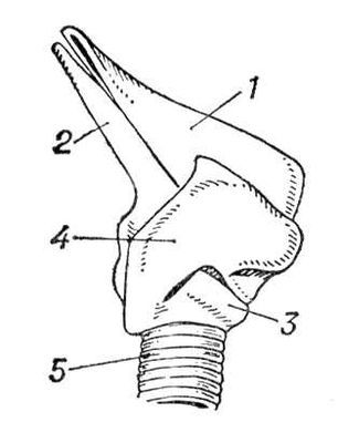 Большая Советская Энциклопедия (ГО) - i010-001-252330579.jpg