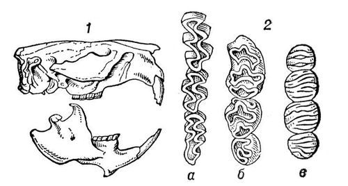 Большая Советская Энциклопедия (ГР) - i009-001-213860609.jpg