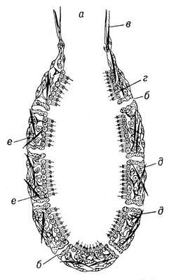 Большая Советская Энциклопедия (ГУ) - i009-001-205003897.jpg