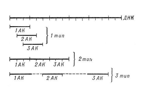 Большая Советская Энциклопедия (ГЕ) - i009-001-215368619.jpg