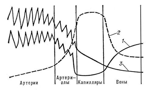 Большая Советская Энциклопедия (ГЕ) - i009-001-217326069.jpg