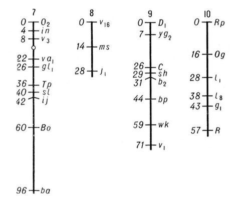Большая Советская Энциклопедия (ГЕ) - i010-001-264210141.jpg