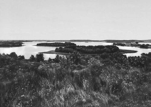 Большая Советская Энциклопедия (ГЕ) - i008-pictures-001-297819268.jpg