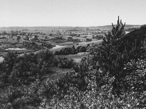 Большая Советская Энциклопедия (ГЕ) - i010-001-250852236.jpg