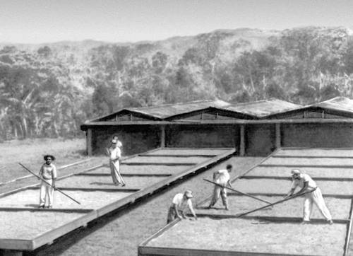 Большая Советская Энциклопедия (ДО) - i009-001-213773146.jpg