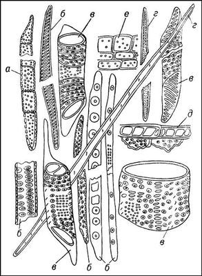 Большая Советская Энциклопедия (ДР) - i009-001-221868367.jpg