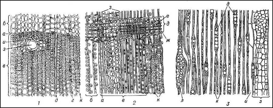 Большая Советская Энциклопедия (ДР) - i009-001-236668812.jpg