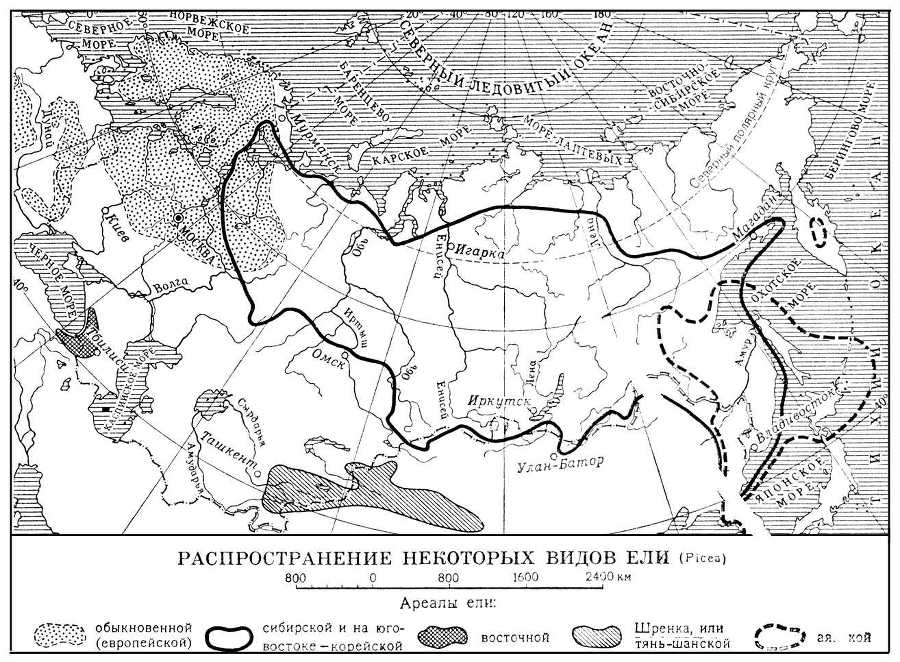 Большая Советская Энциклопедия (ЕЛ) - i009-001-235672234.jpg