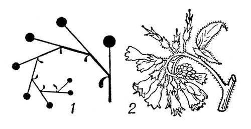 Большая Советская Энциклопедия (ЗА) - i010-001-265066966.jpg