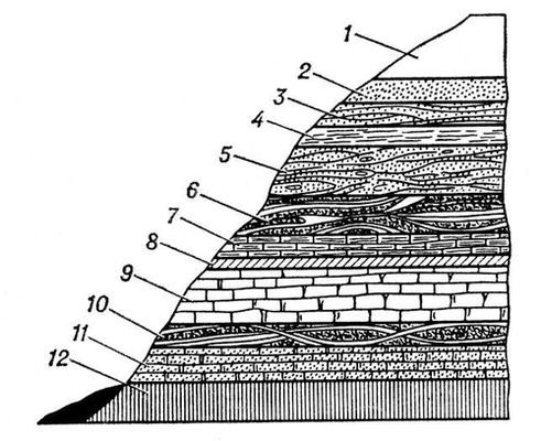 Большая Советская Энциклопедия (ЗА) - i009-001-206365885.jpg