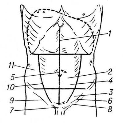 Большая Советская Энциклопедия (ЖИ) - i010-001-278791089.jpg