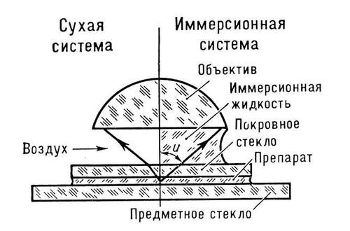 Большая Советская Энциклопедия (ИМ) - i009-001-207259850.jpg