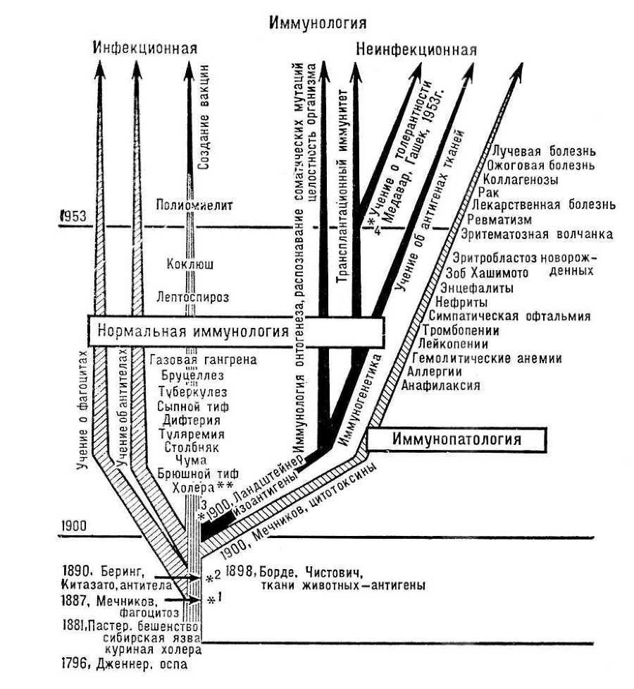 Большая Советская Энциклопедия (ИМ) - i010-001-268672398.jpg