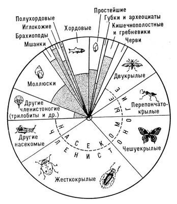 Большая Советская Энциклопедия (ИС) - i009-001-231498723.jpg