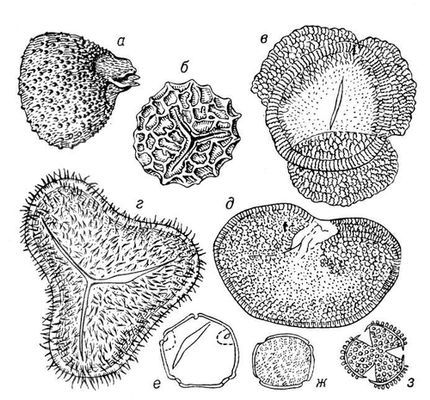 Большая Советская Энциклопедия (ИС) - i009-001-235005735.jpg