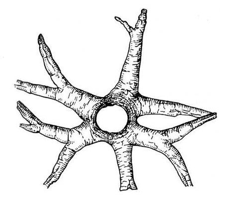 Большая Советская Энциклопедия (ИС) - i010-001-273000208.jpg