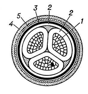 Большая Советская Энциклопедия (КА) - i009-001-225026146.jpg