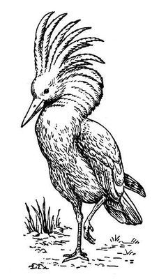 Большая Советская Энциклопедия (КА) - i010-001-277892535.jpg