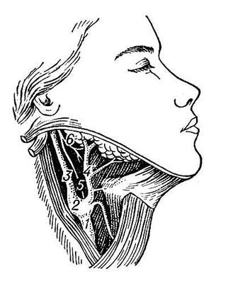 Большая Советская Энциклопедия (КА) - i008-pictures-001-291686141.jpg