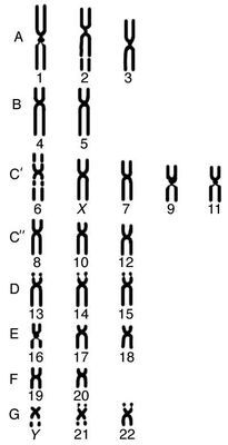 Большая Советская Энциклопедия (КА) - i010-001-286496978.jpg