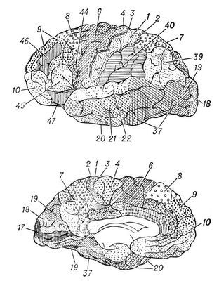 Большая Советская Энциклопедия (КО) - i009-001-202303668.jpg