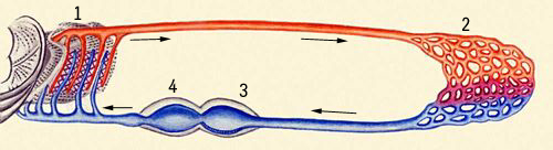 Большая Советская Энциклопедия (КР) - i009-001-227732868.jpg