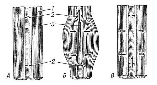 Большая Советская Энциклопедия (КР) - i009-001-229598372.jpg