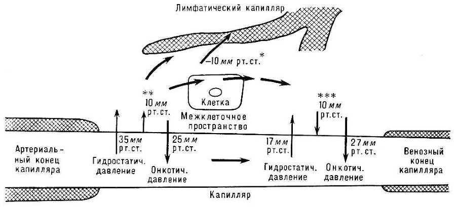 Большая Советская Энциклопедия (КР) - i009-001-236070963.jpg