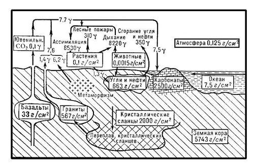 Большая Советская Энциклопедия (КР) - i008-pictures-001-289440335.jpg