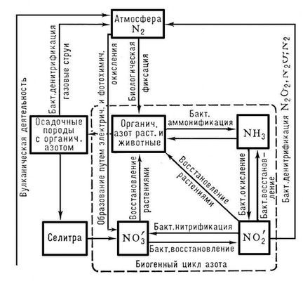 Большая Советская Энциклопедия (КР) - i009-001-231321491.jpg