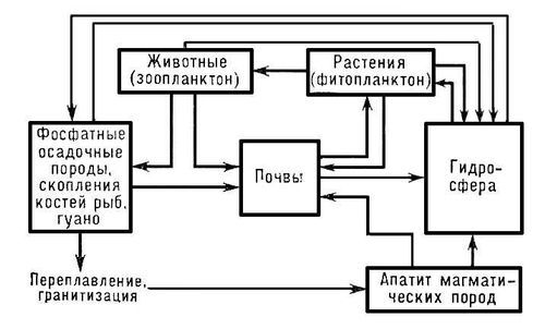 Большая Советская Энциклопедия (КР) - i009-001-240601568.jpg