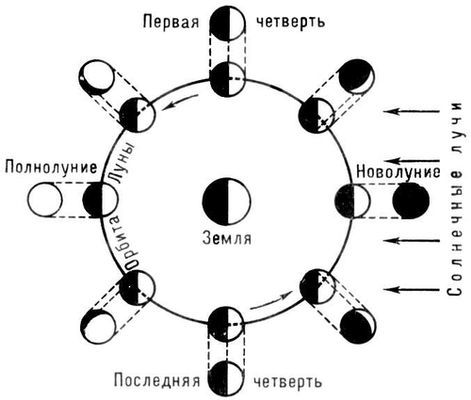 Большая Советская Энциклопедия (ЛУ) - i010-001-285439604.jpg