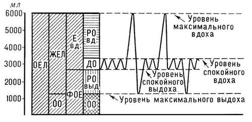 Большая Советская Энциклопедия (ЛЕ) - i010-001-253882350.jpg