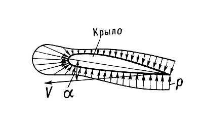 Большая Советская Энциклопедия (ЛЕ) - i010-001-273120914.jpg