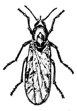 Большая Советская Энциклопедия (МО) - i009-001-201047122.jpg