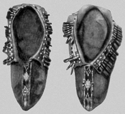 Большая Советская Энциклопедия (МО) - i010-001-280039640.jpg