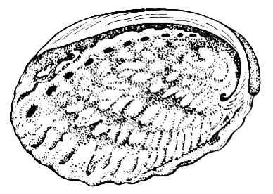 Большая Советская Энциклопедия (МО) - i009-001-238400104.jpg