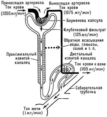 Большая Советская Энциклопедия (МО) - i009-001-231245416.jpg