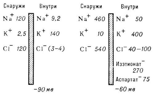 Большая Советская Энциклопедия (МЕ) - i010-001-272114198.jpg