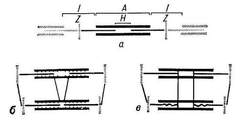 Большая Советская Энциклопедия (МЫ) - i009-001-230662743.jpg