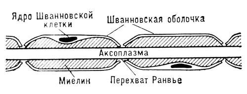 Большая Советская Энциклопедия (НЕ) - i010-001-286052054.jpg