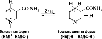 Большая Советская Энциклопедия (НИ) - i-images-152345977.png