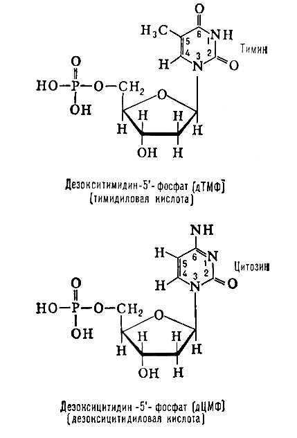 Большая Советская Энциклопедия (НУ) - i009-001-235658839.jpg