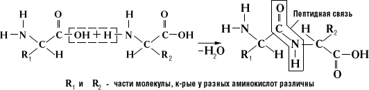 Большая Советская Энциклопедия (ПЕ) - i-images-140993175.png