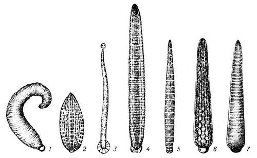 Большая Советская Энциклопедия (ПИ) - i009-001-223372477.jpg