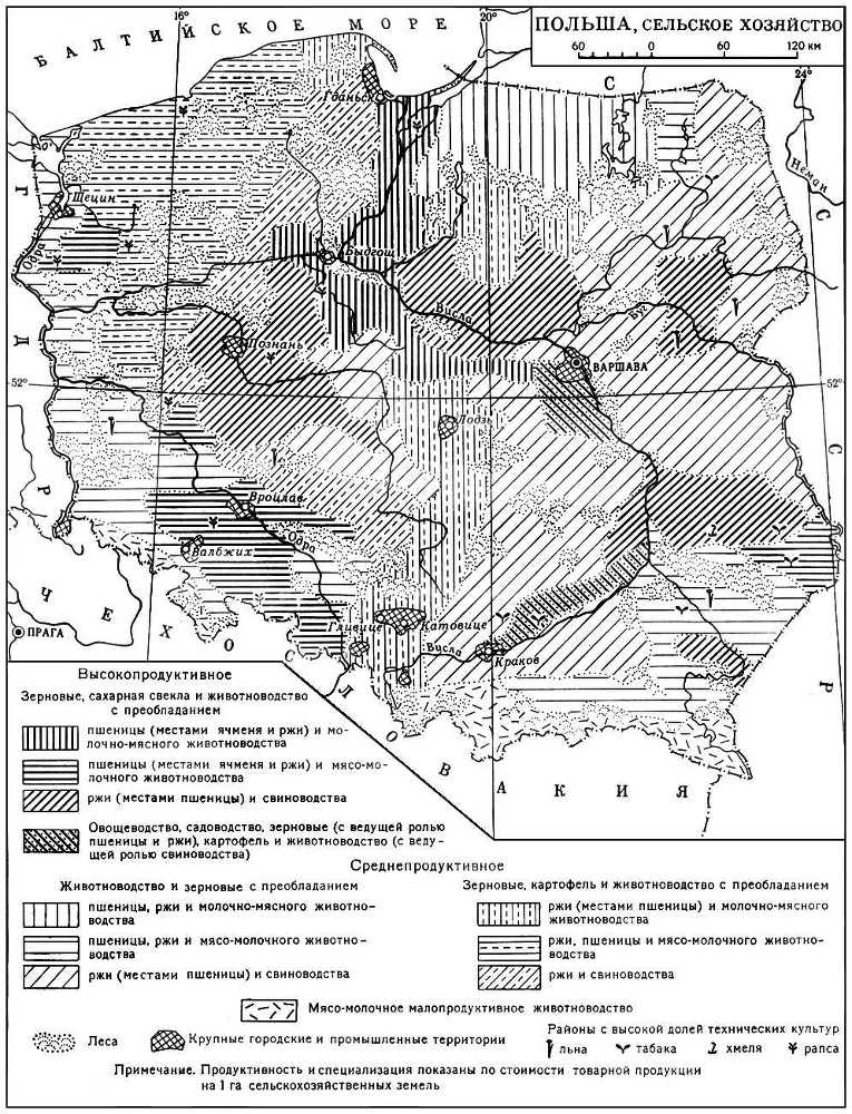 Большая Советская Энциклопедия (ПО) - i010-001-286660988.jpg