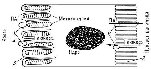 Большая Советская Энциклопедия (ПО) - i008-pictures-001-295263567.jpg