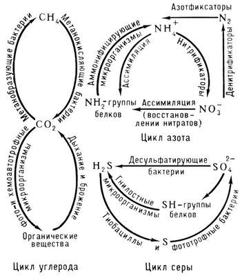 Большая Советская Энциклопедия (ПО) - i009-001-223480590.jpg