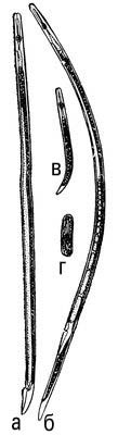 Большая Советская Энциклопедия (РИ) - i010-001-282256439.jpg